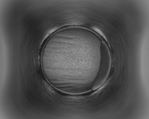 X0000086290781200704131547