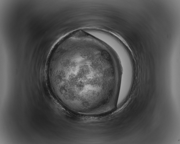 X0000086290783200704131547