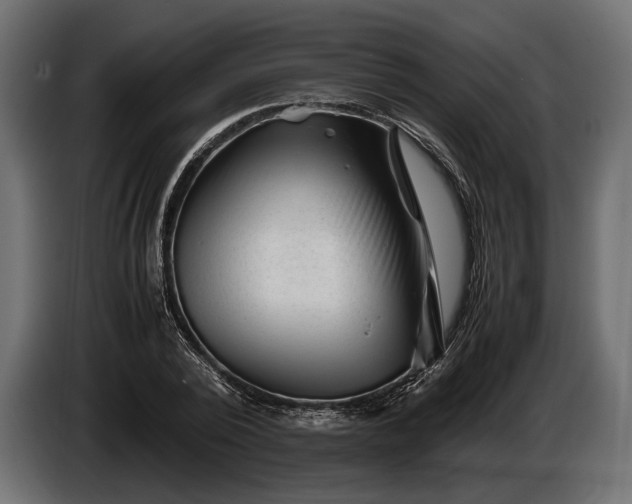 X0000086290784200704131546