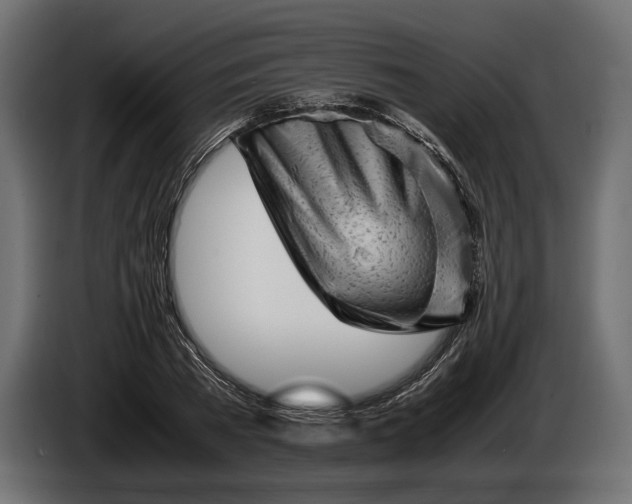 X0000086290785200704131546
