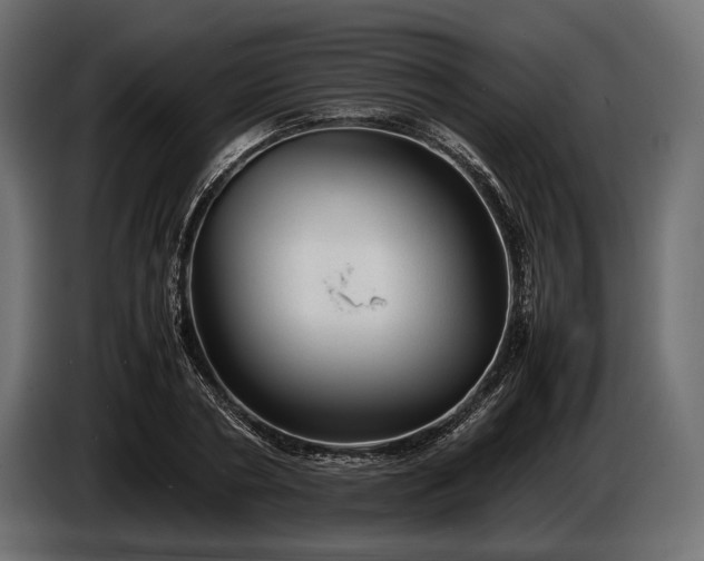 X0000086290786200704131546