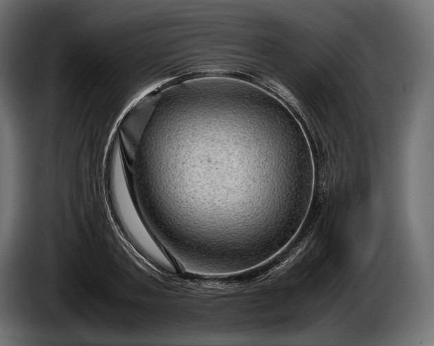X0000086290787200704131546