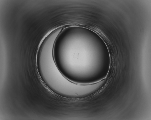 X0000086290788200704131546
