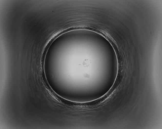 X0000086290789200704131546