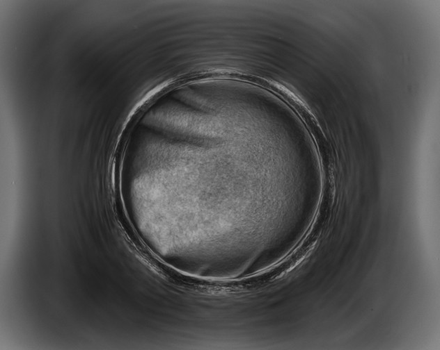 X0000086290790200704131546