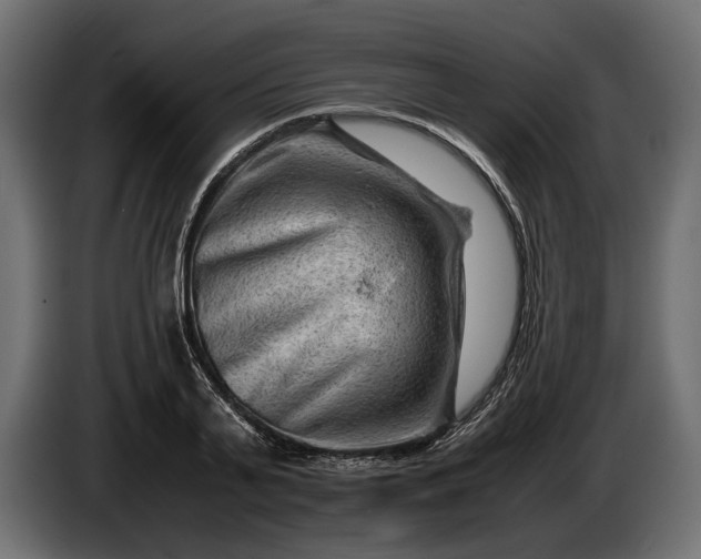 X0000086290791200704131546