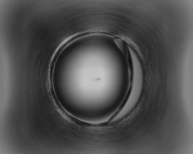 X0000086290792200704131546