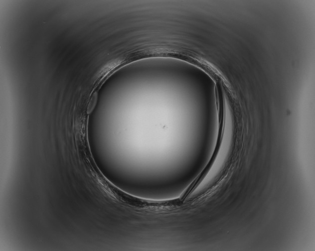 X0000086290793200704131546