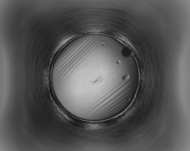 X0000086290794200704131546