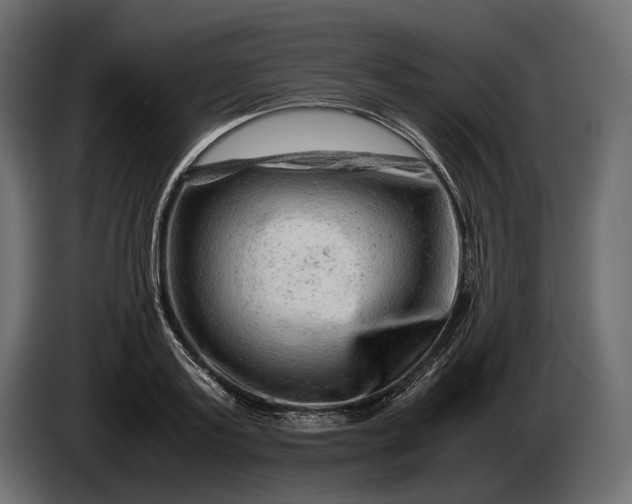 X0000086290795200704131546