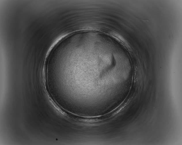 X0000086290796200704131546