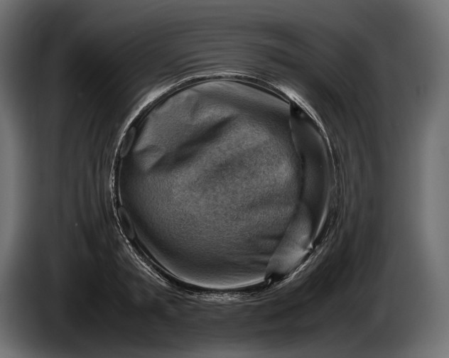 X0000086290797200704131546