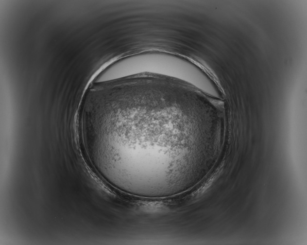 X0000086290798200704131546