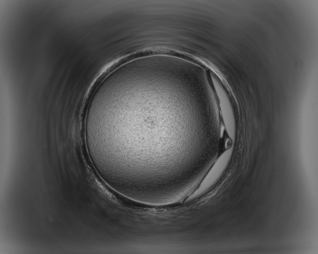 X0000086290799200704131546