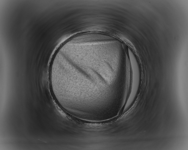 X0000086290800200704131546