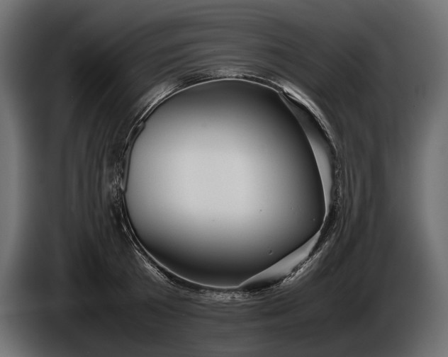 X0000086290801200704131546