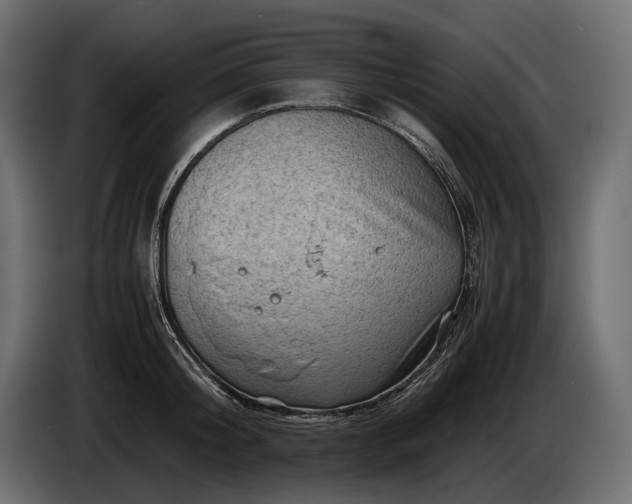 X0000086290804200704131546