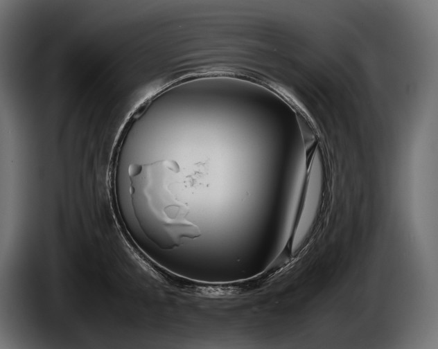 X0000086290805200704131546