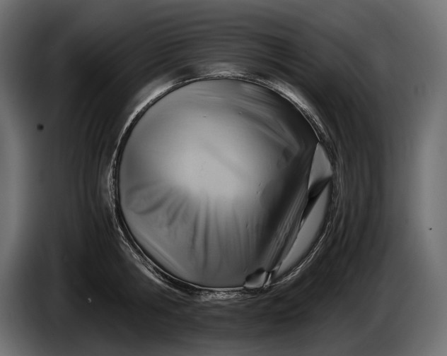X0000086290806200704131546