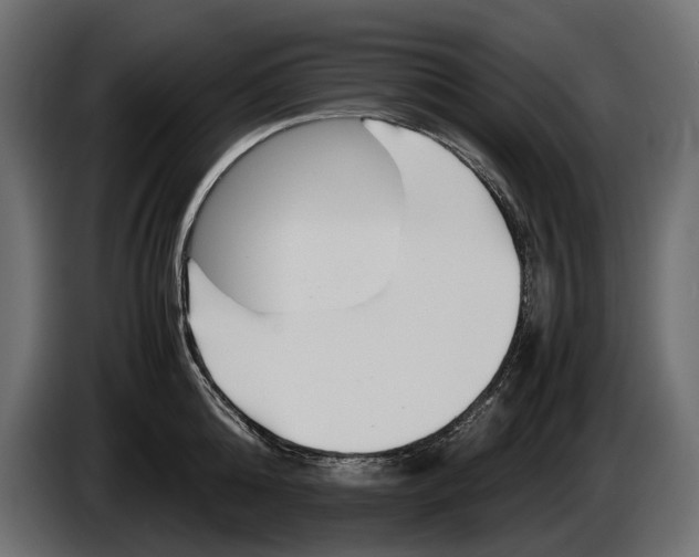 X0000086290808200704131546