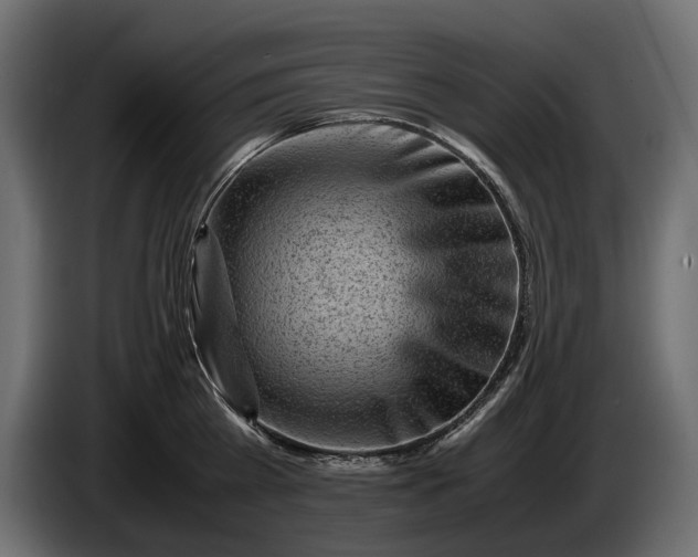 X0000086290809200704131546