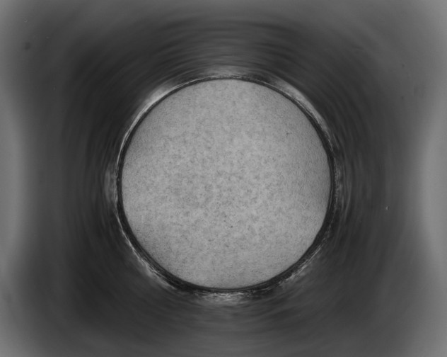 X0000086290810200704131546