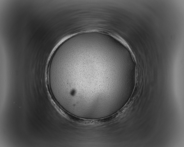 X0000086290811200704131546