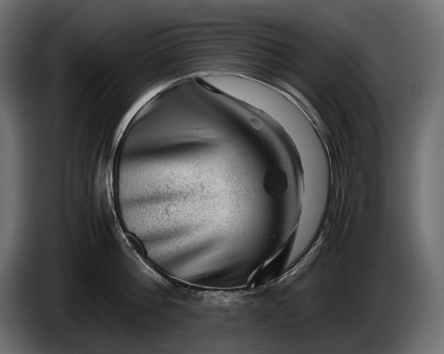 X0000086290812200704131546