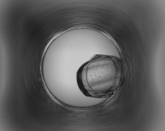 X0000086290813200704131546