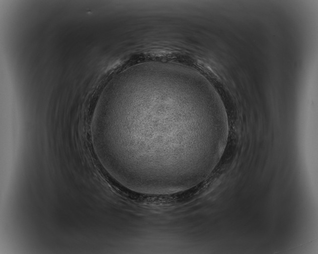 X0000086290817200704131545