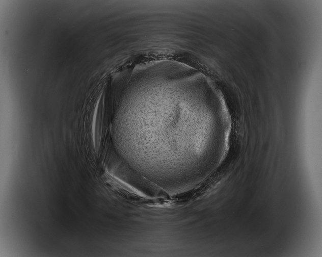 X0000086290818200704131545