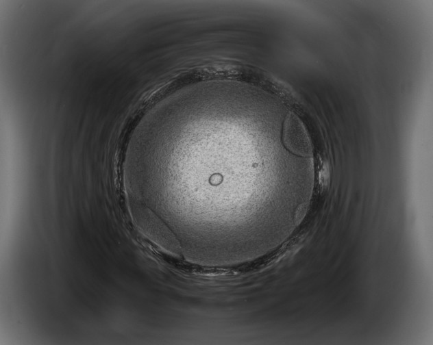 X0000086290819200704131545