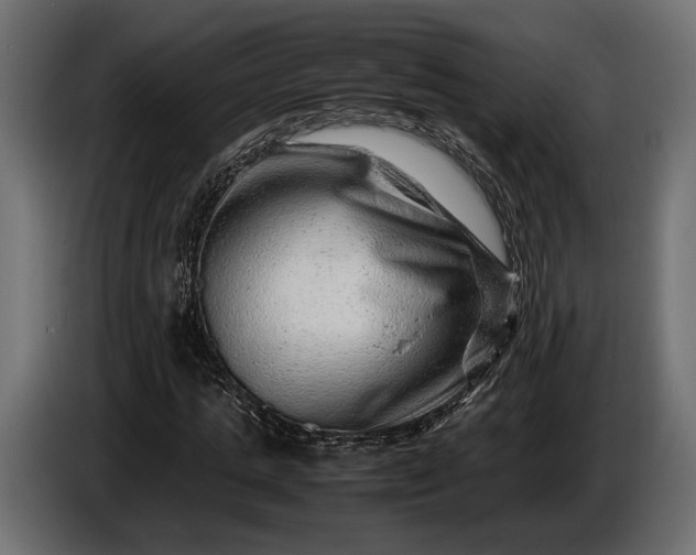 X0000086290821200704131545