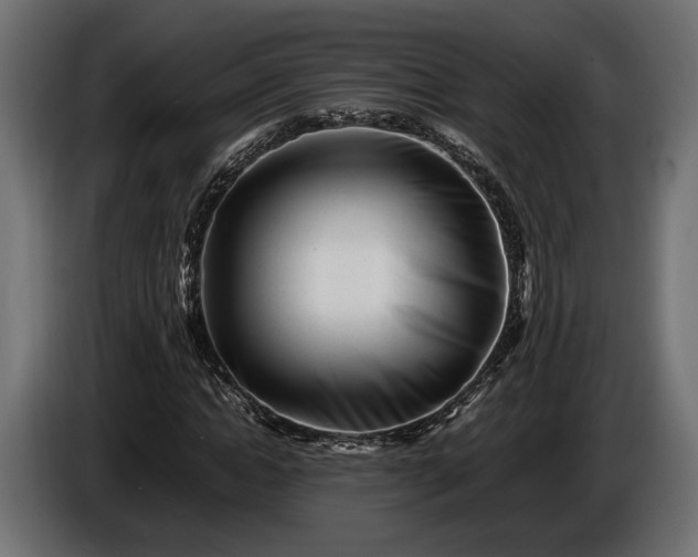 X0000086290822200704131545