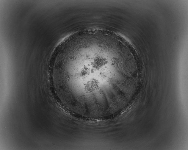 X0000086290823200704131545