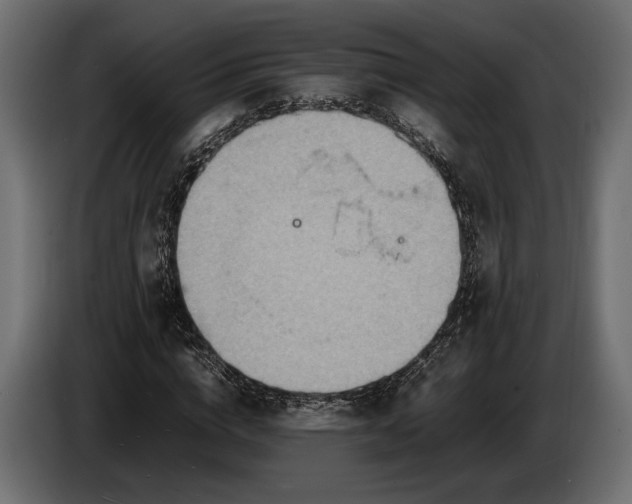 X0000086290824200704131545
