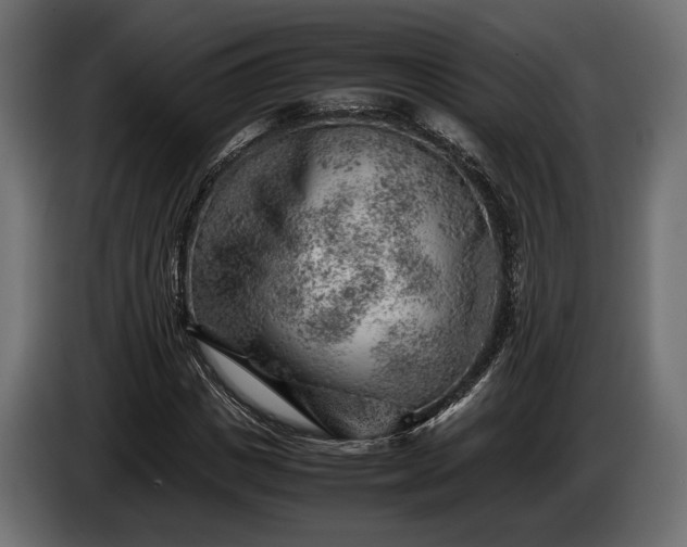 X0000086290825200704131545