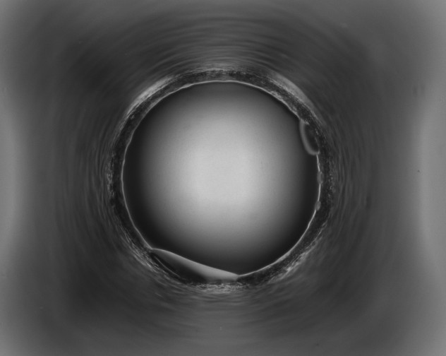 X0000086290826200704131546