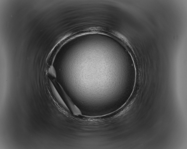 X0000086290827200704131546