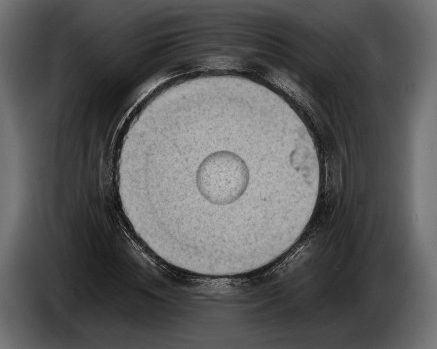 X0000086290828200704131546