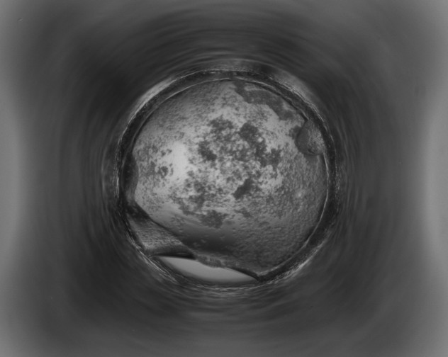 X0000086290829200704131546
