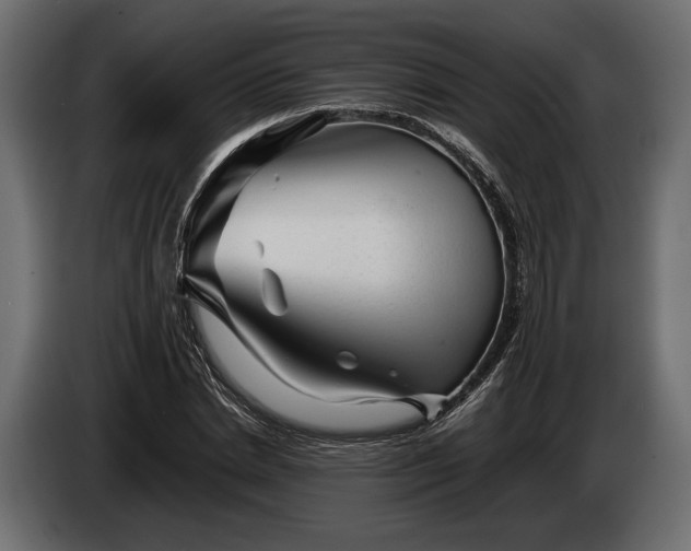X0000086290830200704131546
