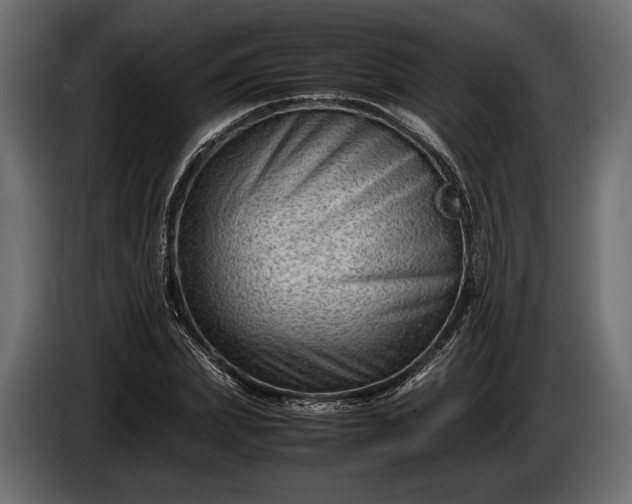 X0000086290831200704131546
