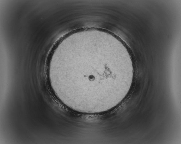 X0000086290832200704131546