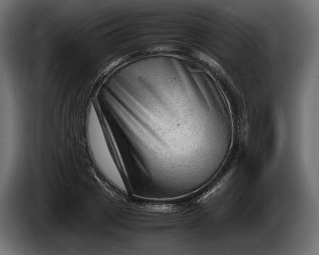 X0000086290833200704131546