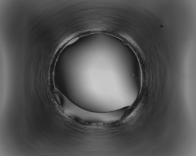 X0000086290834200704131546
