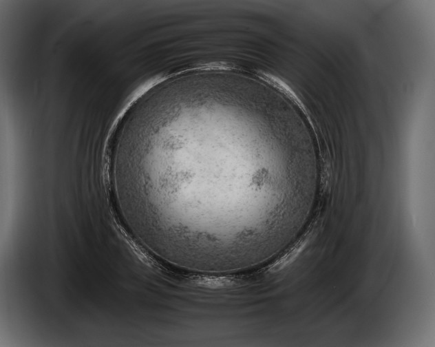 X0000086290835200704131546