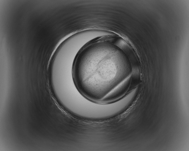 X0000086290838200704131546