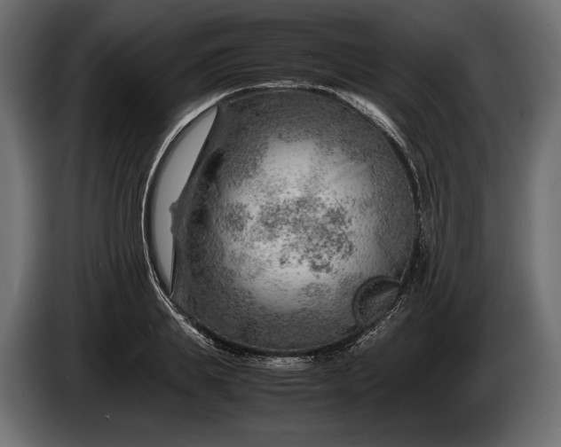 X0000086290839200704131546