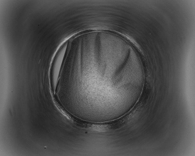 X0000086290840200704131546